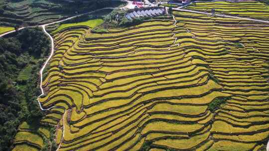 航拍山区乡村梯田