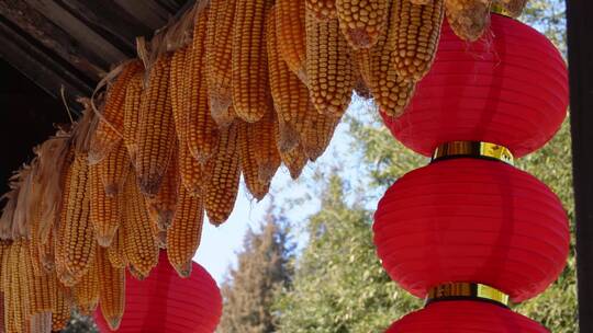 红灯笼装饰景区园区中华民族园