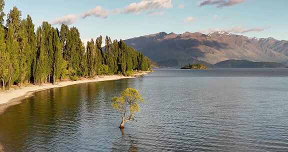 航拍新西兰瓦纳卡湖畔小树环绕风光