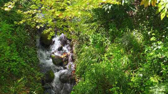 山涧溪流水流