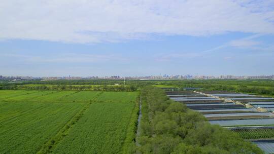 天津西青郊野公园大棚种植园航拍视频素材模板下载