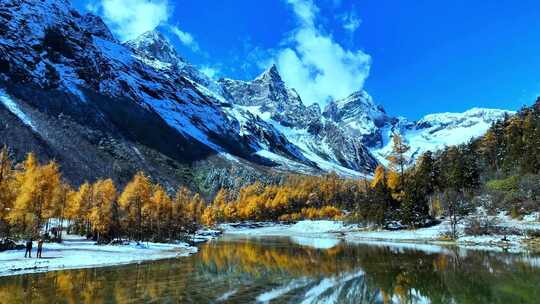 雪山下多彩树林与湖泊相映的美景