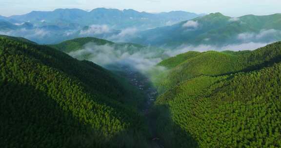 高山竹海云雾云海航拍杭州余杭百丈