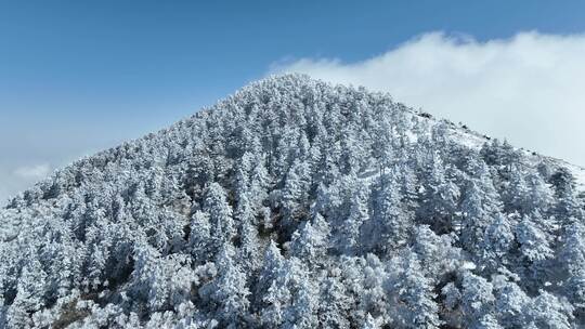 蓝天下绝美山川云海雾凇冰挂冰雪天地航拍