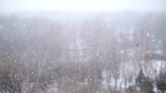 升格拍摄漫天飞舞的雪花