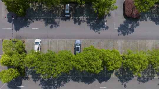 夏天树影道路停车场空镜