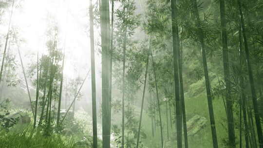 阳光绿色竹林穿透的光线沉浸式氛围视频素材模板下载