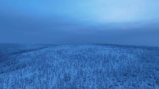 航拍黎明林海雪原雾凇