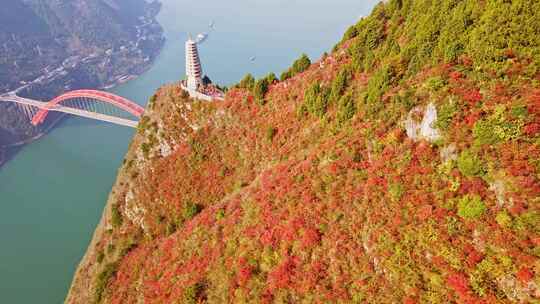 长江三峡巫峡红叶