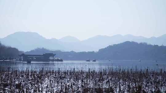 西湖边的风景