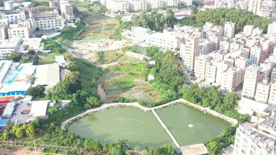 航拍深圳龙华区观澜现代化城市