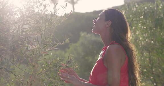 一个女人走在橄榄树之间，检查即将收获的橄