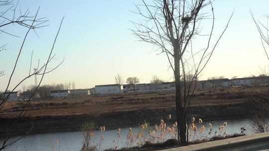 河流 小溪 田园风光 路边风景 灌木丛 旅行