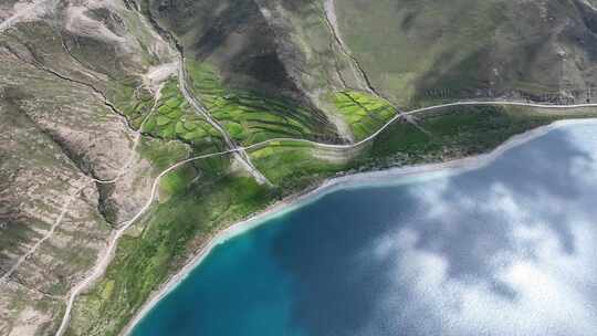 航拍中国西藏羊卓雍措湖边的青稞田风景