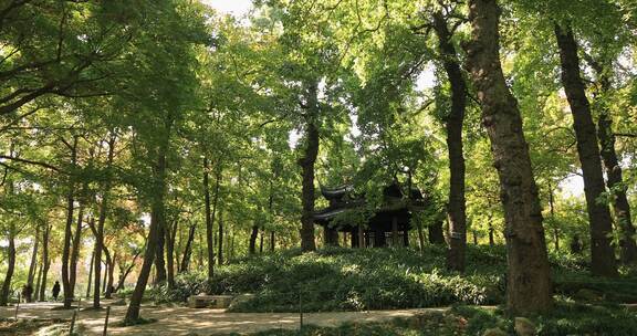 阳光森林古亭 苏州天平山