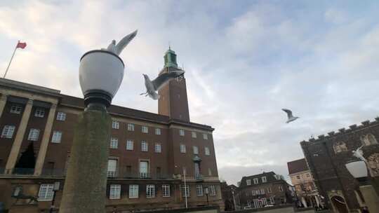 慢动作 英国海鸥 两只鸟 在空中接力