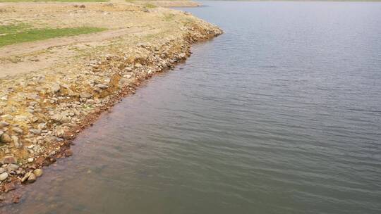 河边水边岸边俯拍河岸边水面白鹭生态湖飞鸟