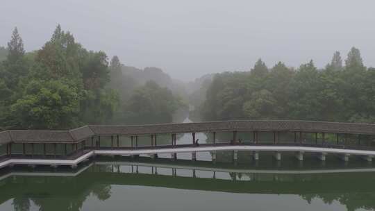 杭州西湖浴鹄湾花港观鱼云雾风光