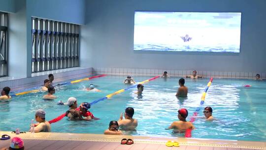 游泳池中游泳的人视频素材模板下载