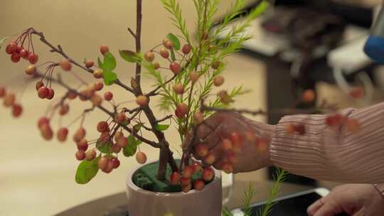 气质插花师剪花枝浇水栽种1视频素材模板下载