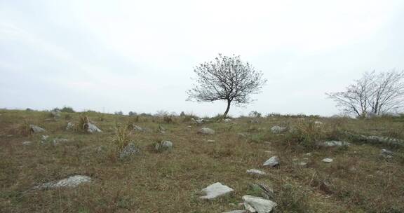 山区荒野