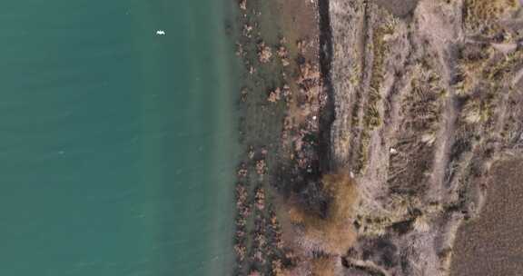 赤金峡水库胡杨林湿地