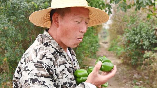 新鲜圆青椒