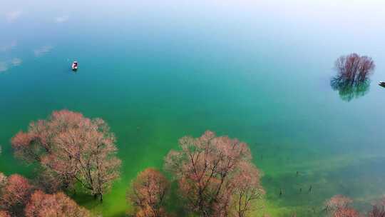 自然风光 河湖景色 碧水蓝天