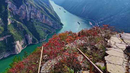 三峡红叶