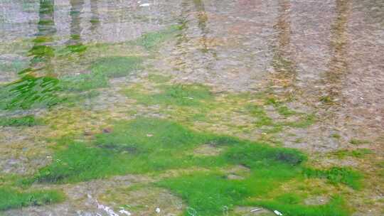 沕沕水 沕沕水景区 沕沕水五龙潭