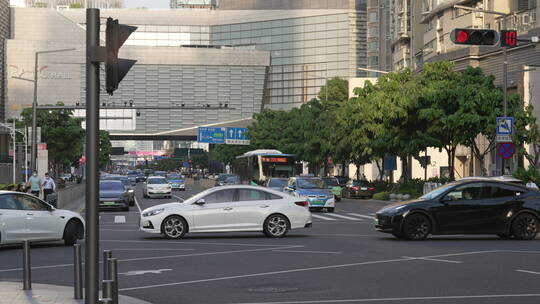 深圳街景视频素材模板下载