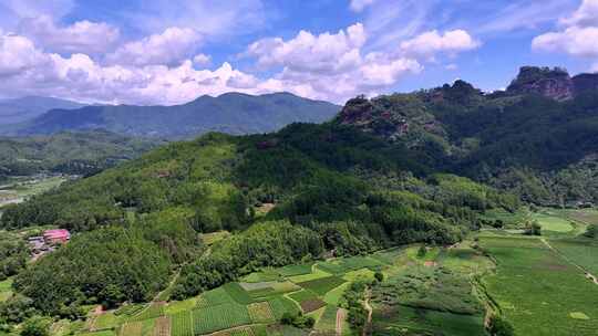 茶田 茶山 采茶 航拍