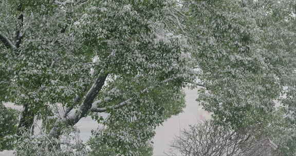 湖南长沙雪景