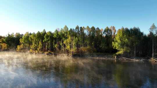 秋季森林河晨雾迷漫