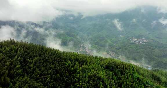 广西山区竹林竹海竹山云海翻滚航拍