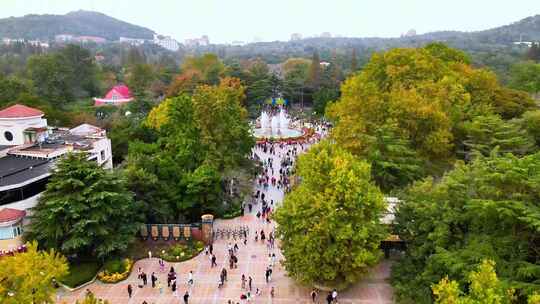 青岛中山公园秋天菊花展航拍鸟瞰全景