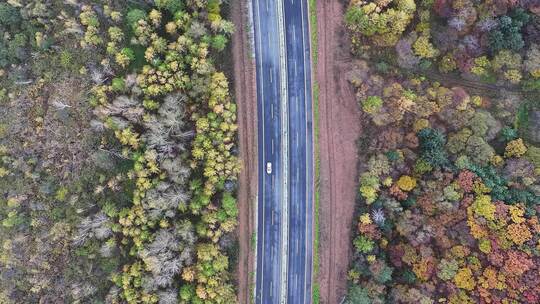 黑龙江伊春秋天公路