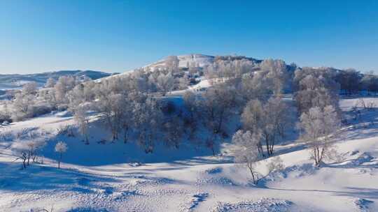 冬季乌兰布统绝美雾凇雪林雪景