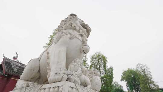 古建筑前的石狮子雕像屹立在岁月里