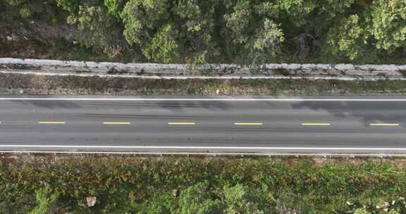 穿过森林的道路俯瞰航拍