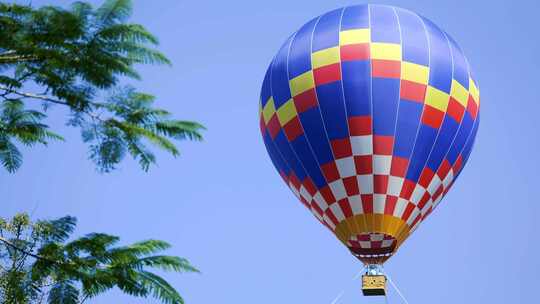西双版纳热带植物园-热气球