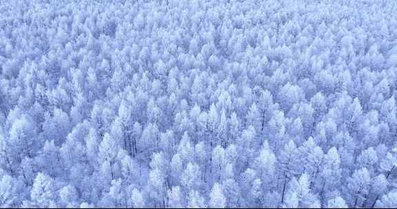 航拍大兴安岭冰雪雾凇