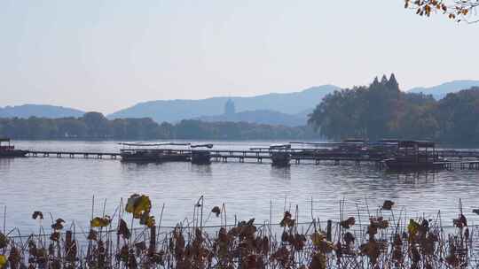 杭州西湖秋天风景