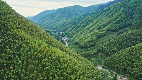 森林公园山脉横移看见山涧乡村道路