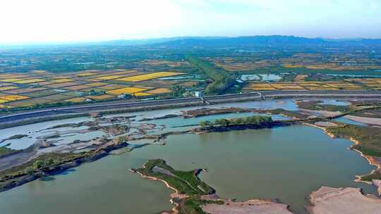 湖南岳阳东洞庭湖湿地候鸟鸟群