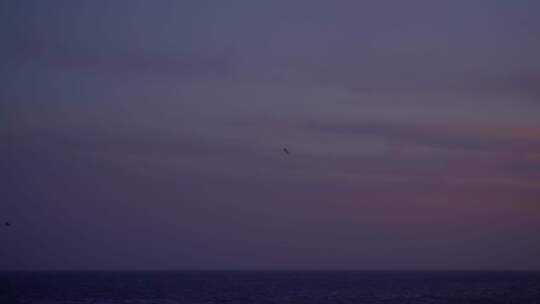 海上海鸟 日出日落 蓝调时刻电影感