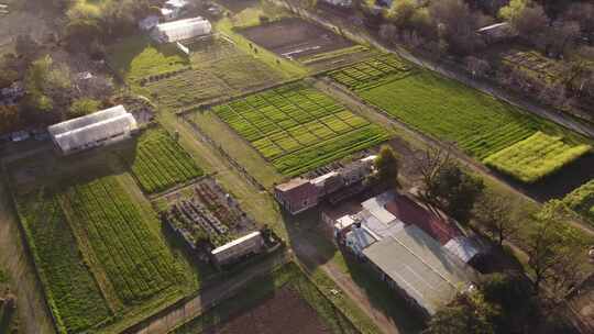 日落时分种植在农田上的蔬菜地，阿根廷布宜诺斯艾利斯。空中自上而下盘旋。阿格