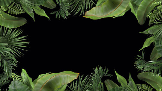 植物绿色自然创意视频框