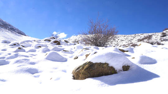 雪后美景