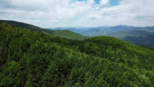 航拍北京门头沟高山森林峡谷自然风光视频素材模板下载